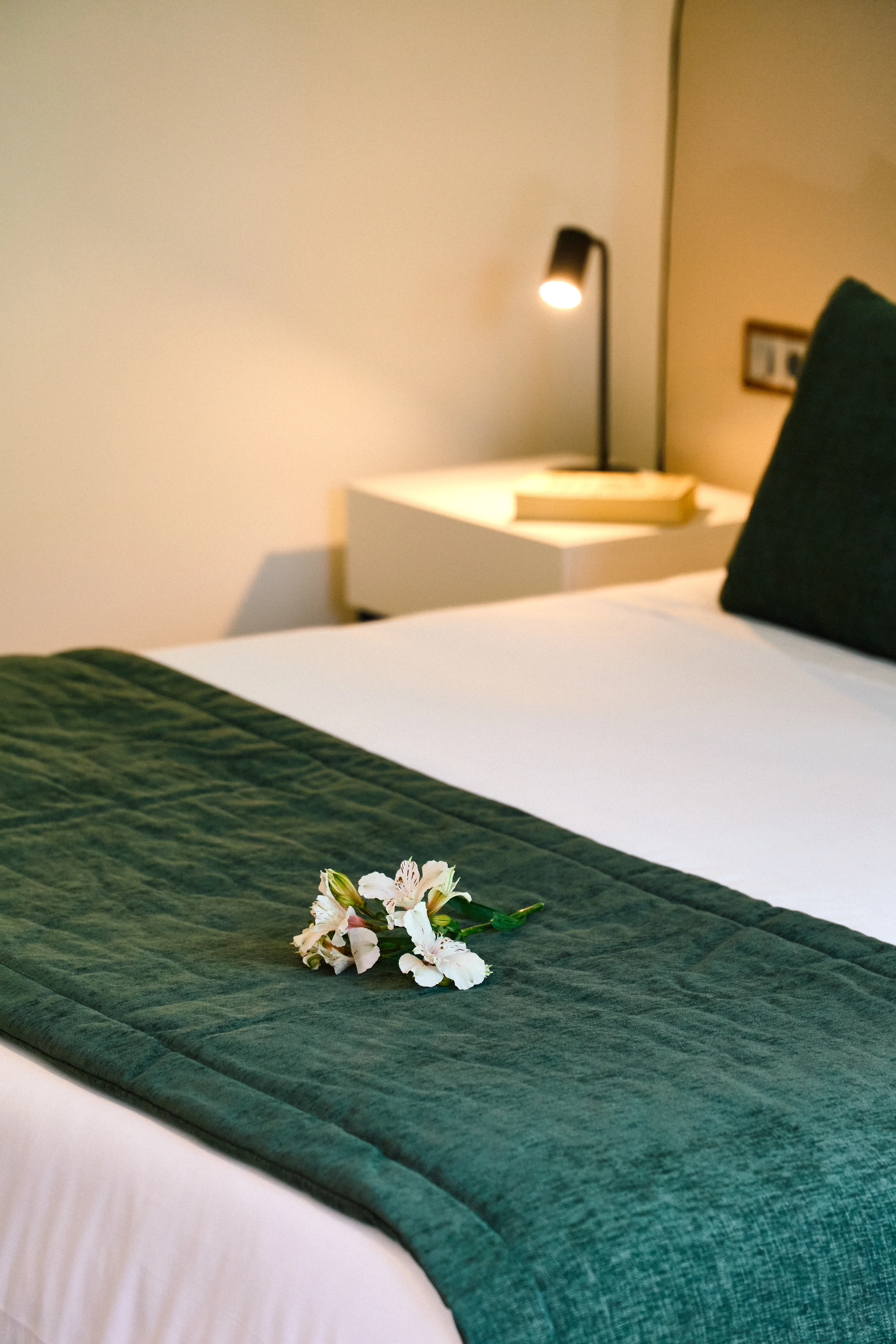 Bungalow Suite — foto 8